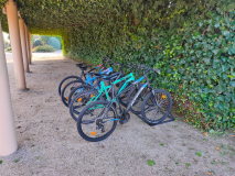 Finca-Sta-Cruz-de-Alarza_bicicletas-2