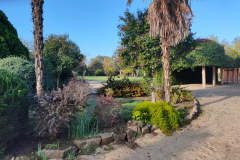 Finca-Sta-Cruz-de-Alarza_jardin-1